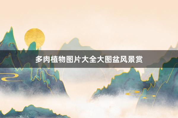 多肉植物图片大全大图盆风景赏